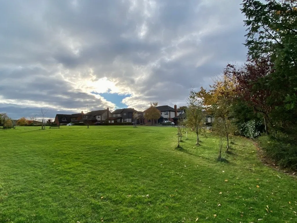 Netherbank, Edinburgh, EH16, photo 26