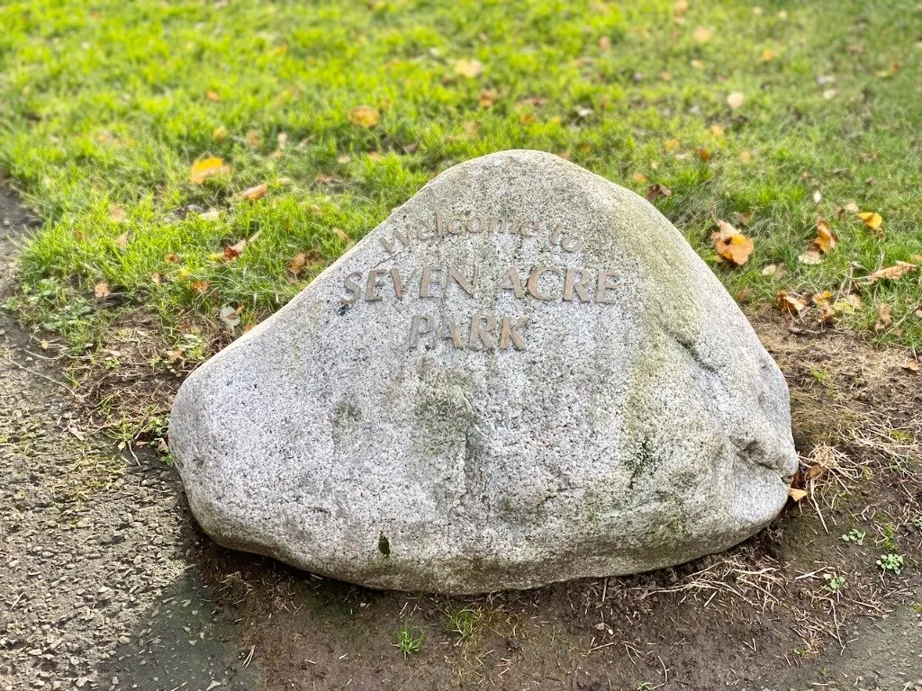 Netherbank, Edinburgh, EH16, photo 25