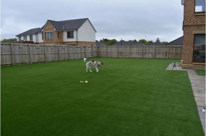Ballochmyle Way, Mauchline, KA5, photo 17