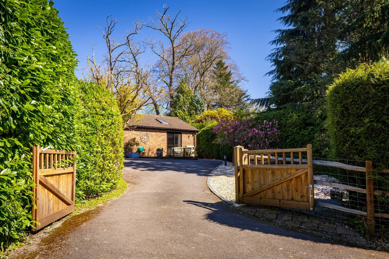 Bunch Lane, Haslemere, GU27, photo 35