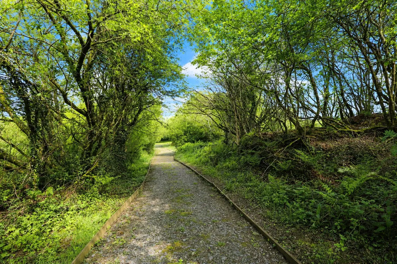 Woolsery, Bideford, EX39, photo 37