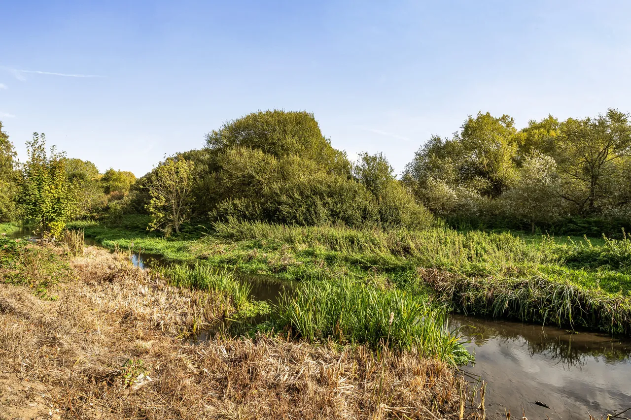 The Willows, Mill End, WD3, photo 15