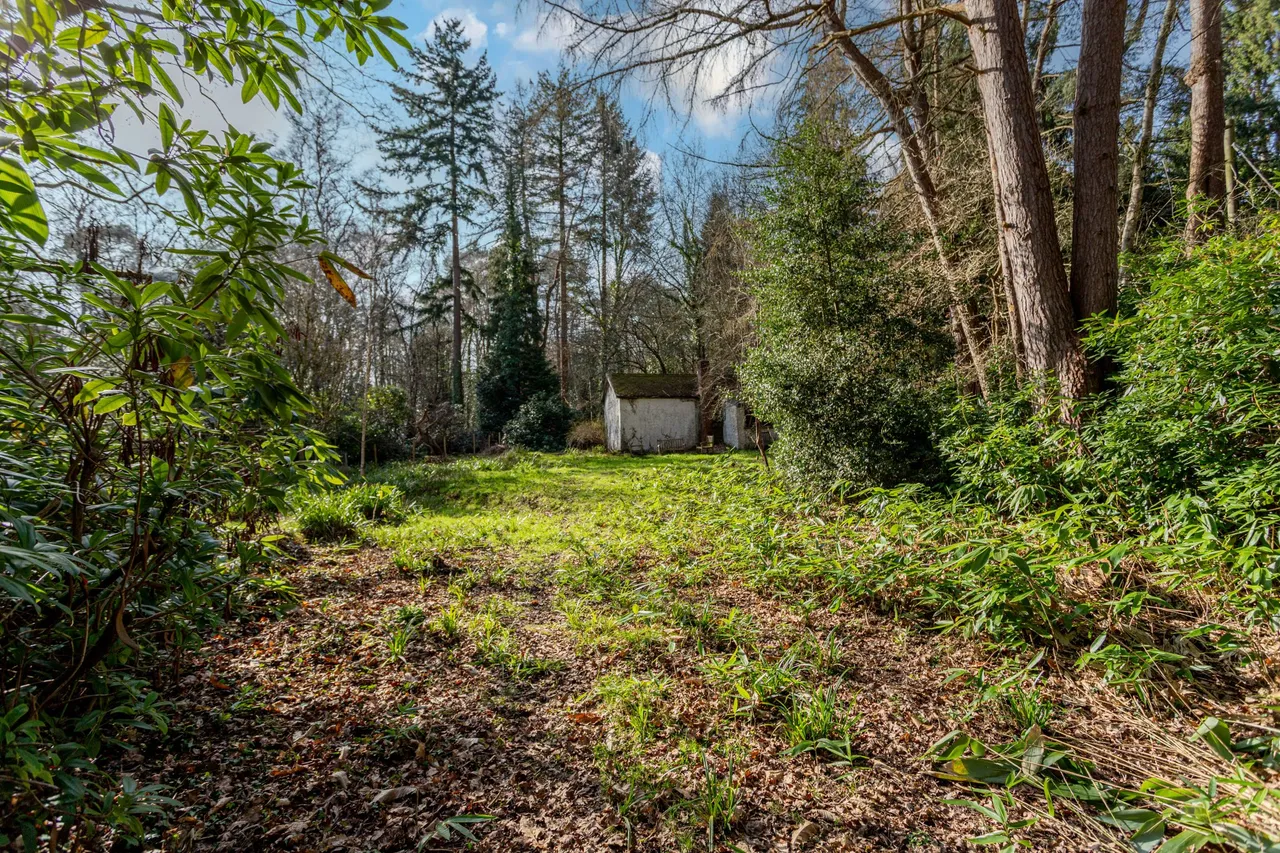 Louma Cottage, Hollybush Ride, Finchampstead, RG40 3QR, photo 5