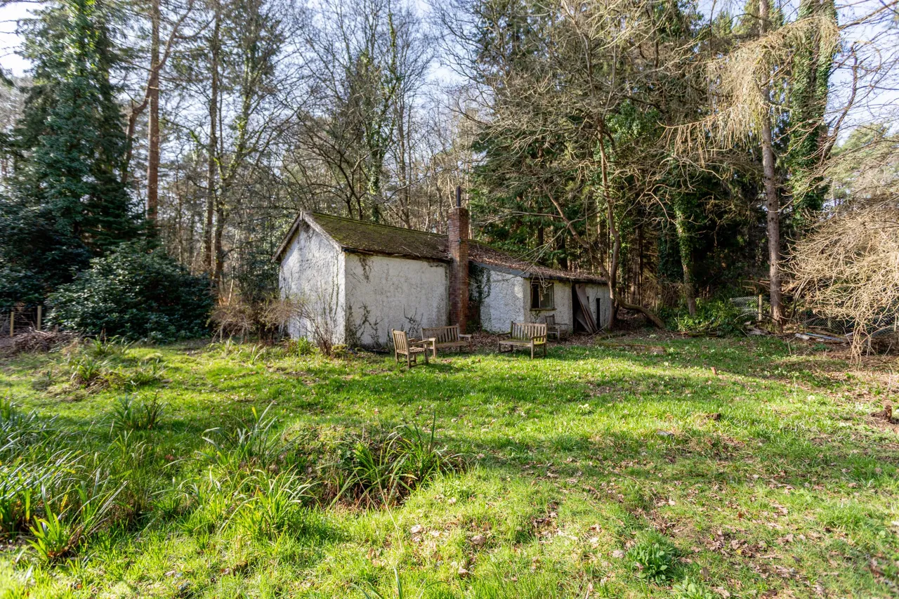 Louma Cottage, Hollybush Ride, Finchampstead, RG40 3QR, photo 3