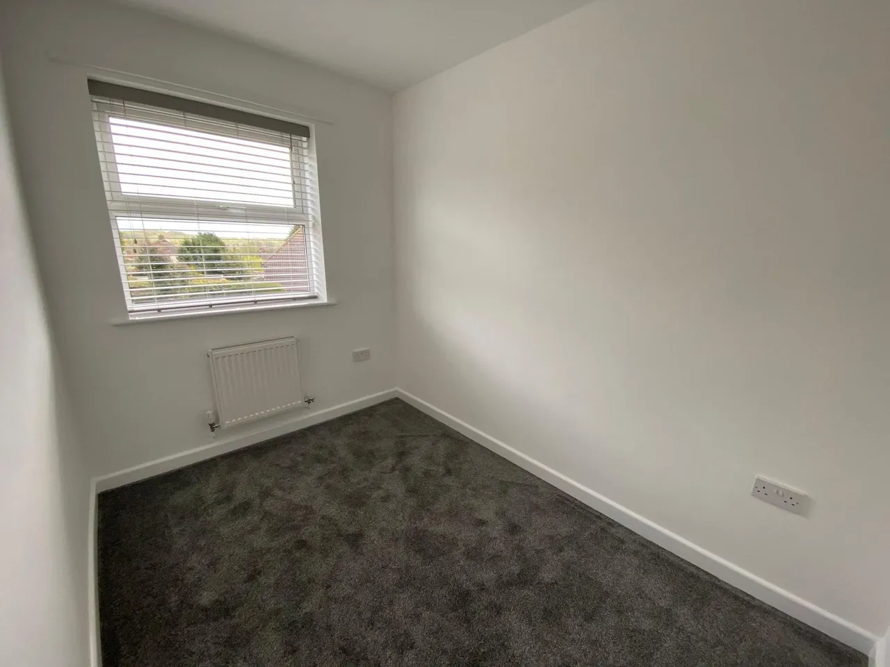 Springfield Road, Midway, DE11, photo 11