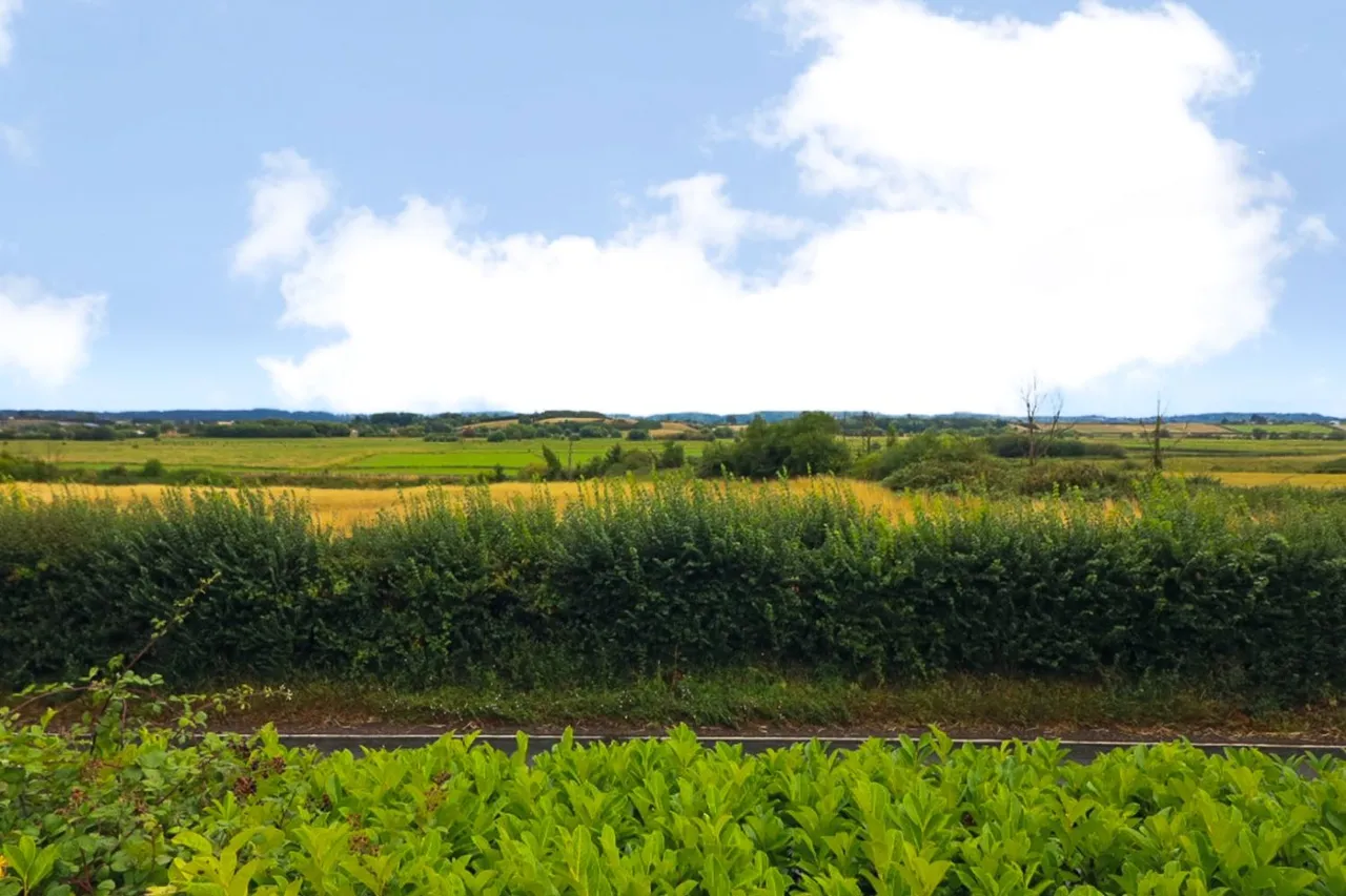 Landscove Main Road, East Lyng, TA3, photo 48