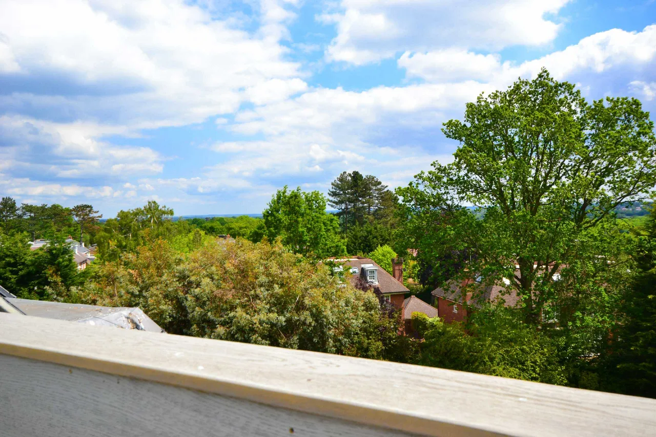 Camlet Way, Hadley Wood, EN4 0NX, photo 15