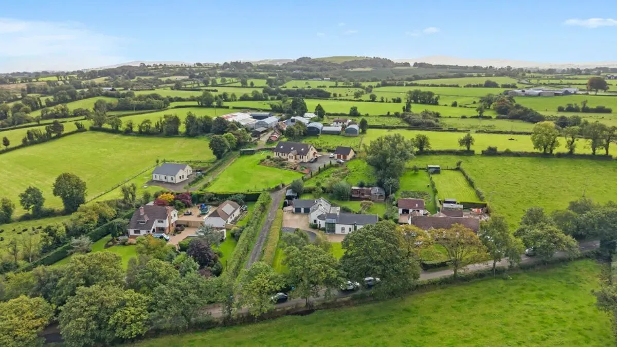 Rickamore Road, Templepatrick, BT39, photo 82