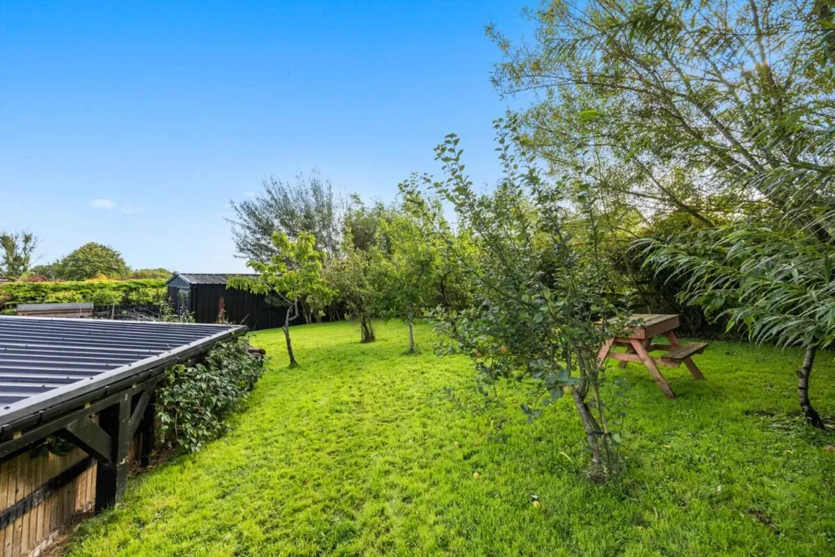 Rickamore Road, Templepatrick, BT39, photo 50