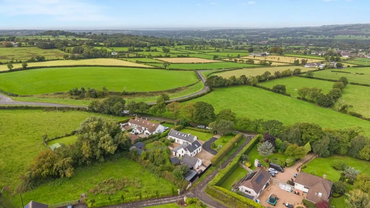 Rickamore Road, Templepatrick, BT39, photo 85