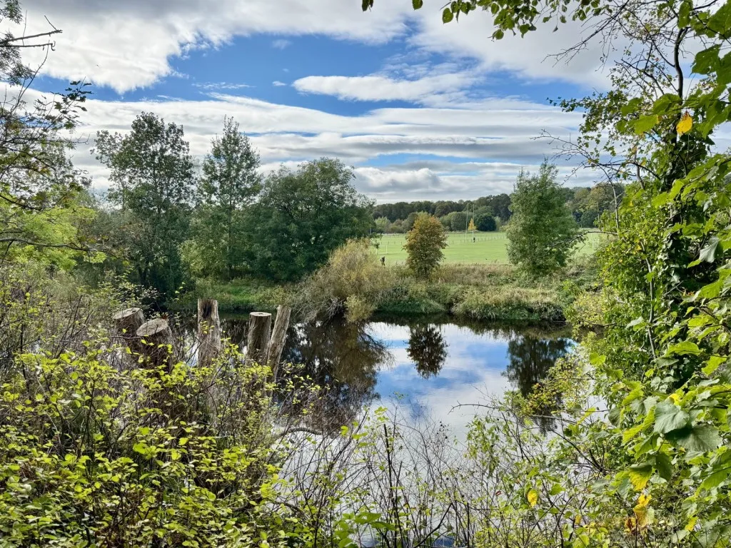 Scott Lane, LS22, photo 18