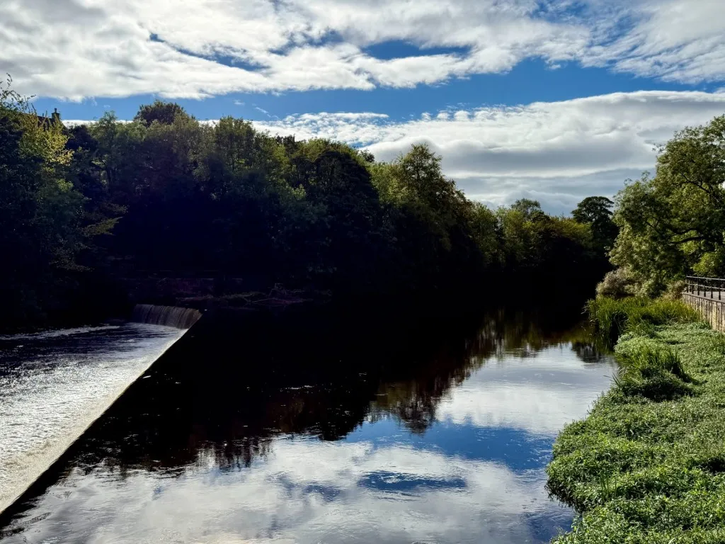 Scott Lane, LS22, photo 22