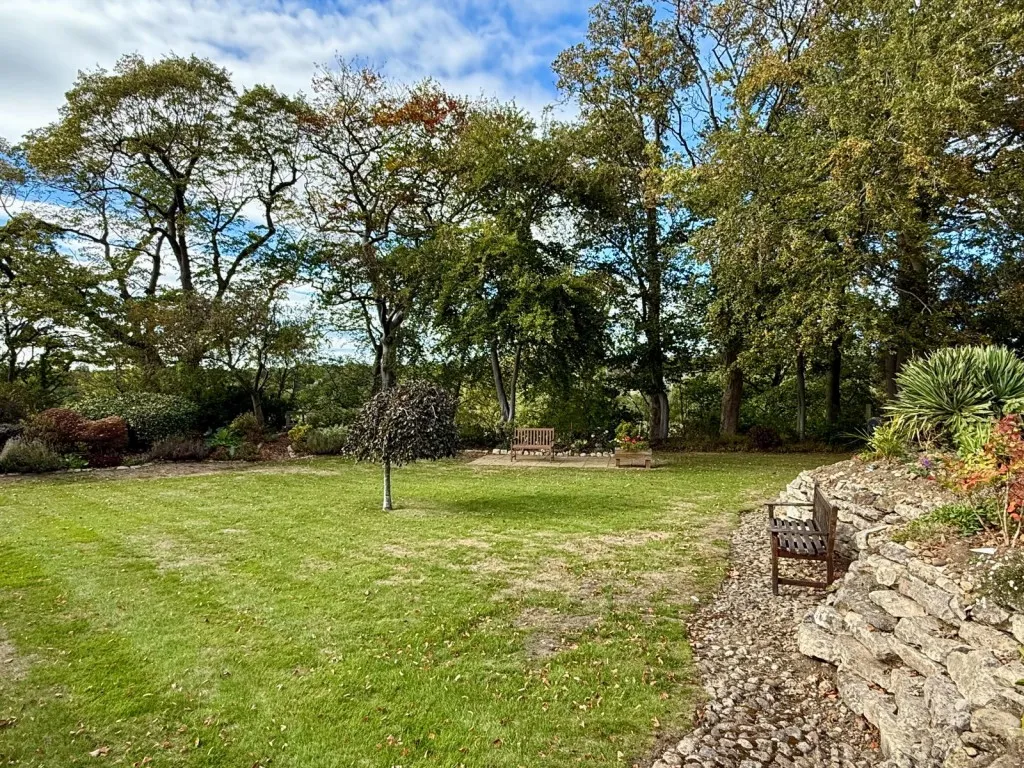 Scott Lane, LS22, photo 19