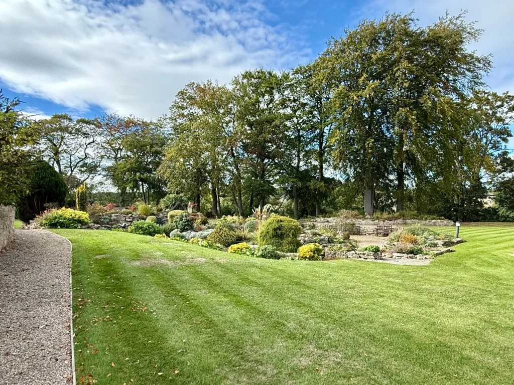 Scott Lane, LS22, photo 20