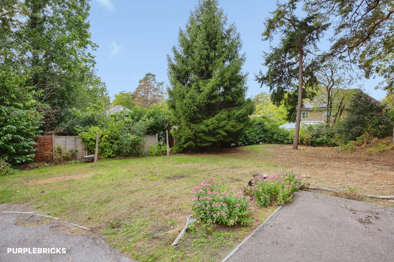 Shaftesbury Road, Woking, GU22, photo 23