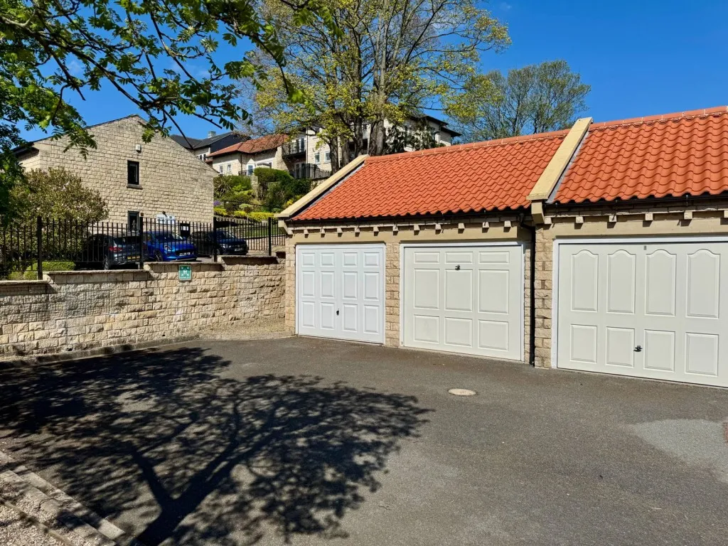 Scott Lane, LS22, photo 18