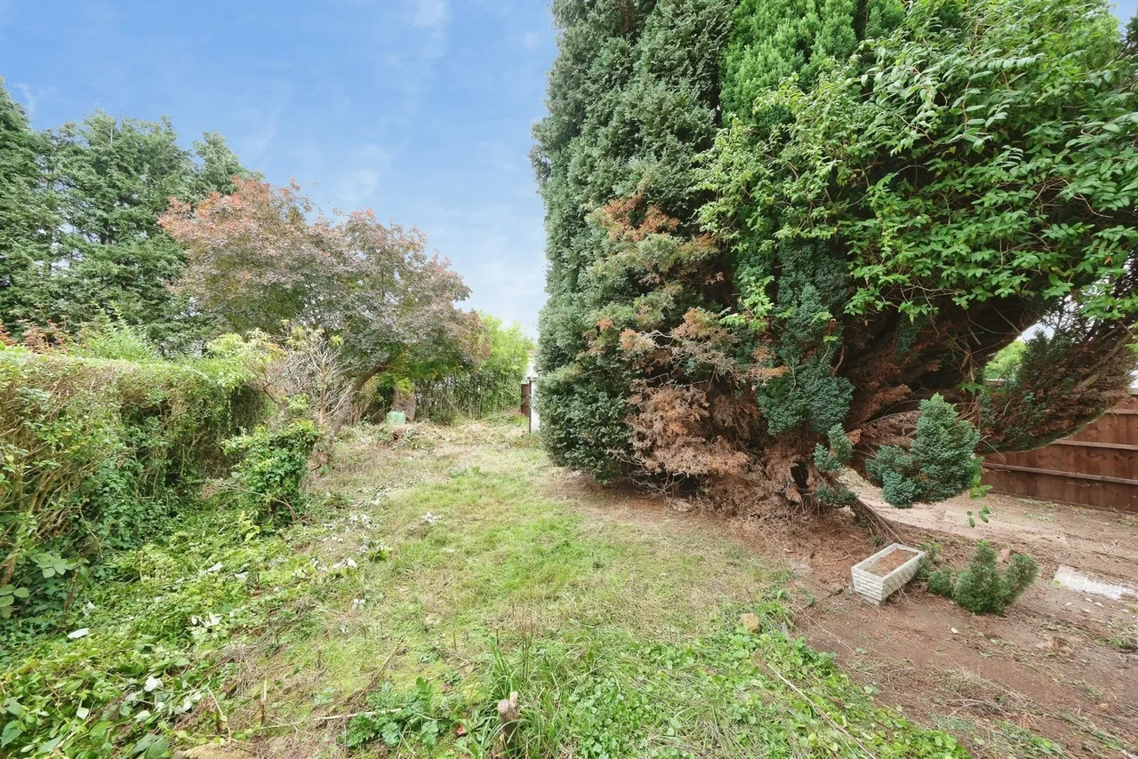 Melford Road, Nottingham, NG8, photo 26
