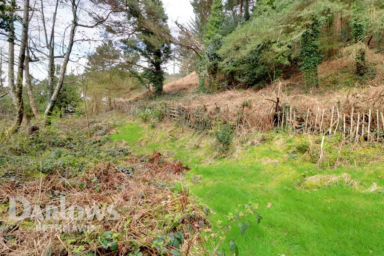 Cwm Farm Road, Six Bells, photo 17
