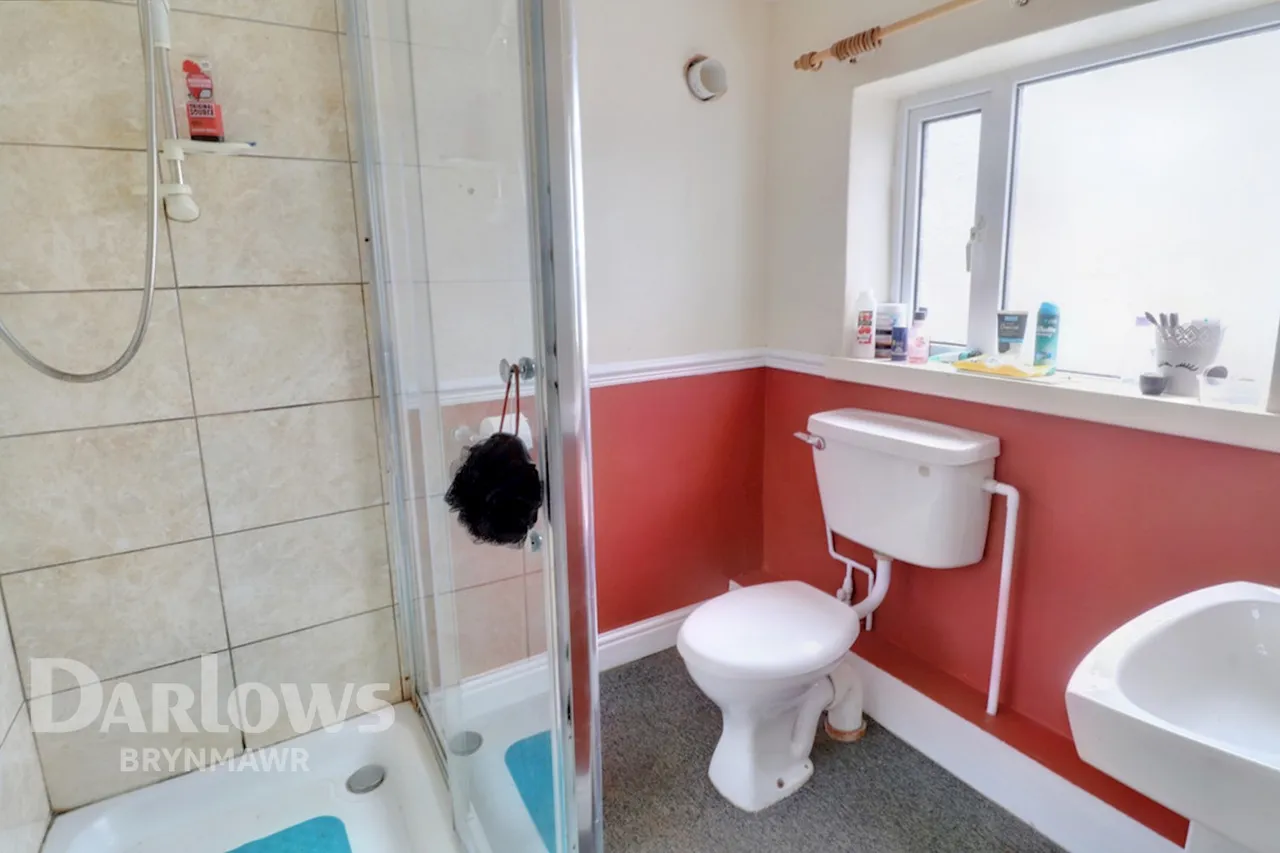 Cwm Farm Road, Six Bells, photo 10