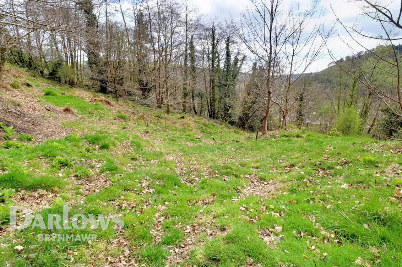 Cwm Farm Road, Six Bells, photo 26