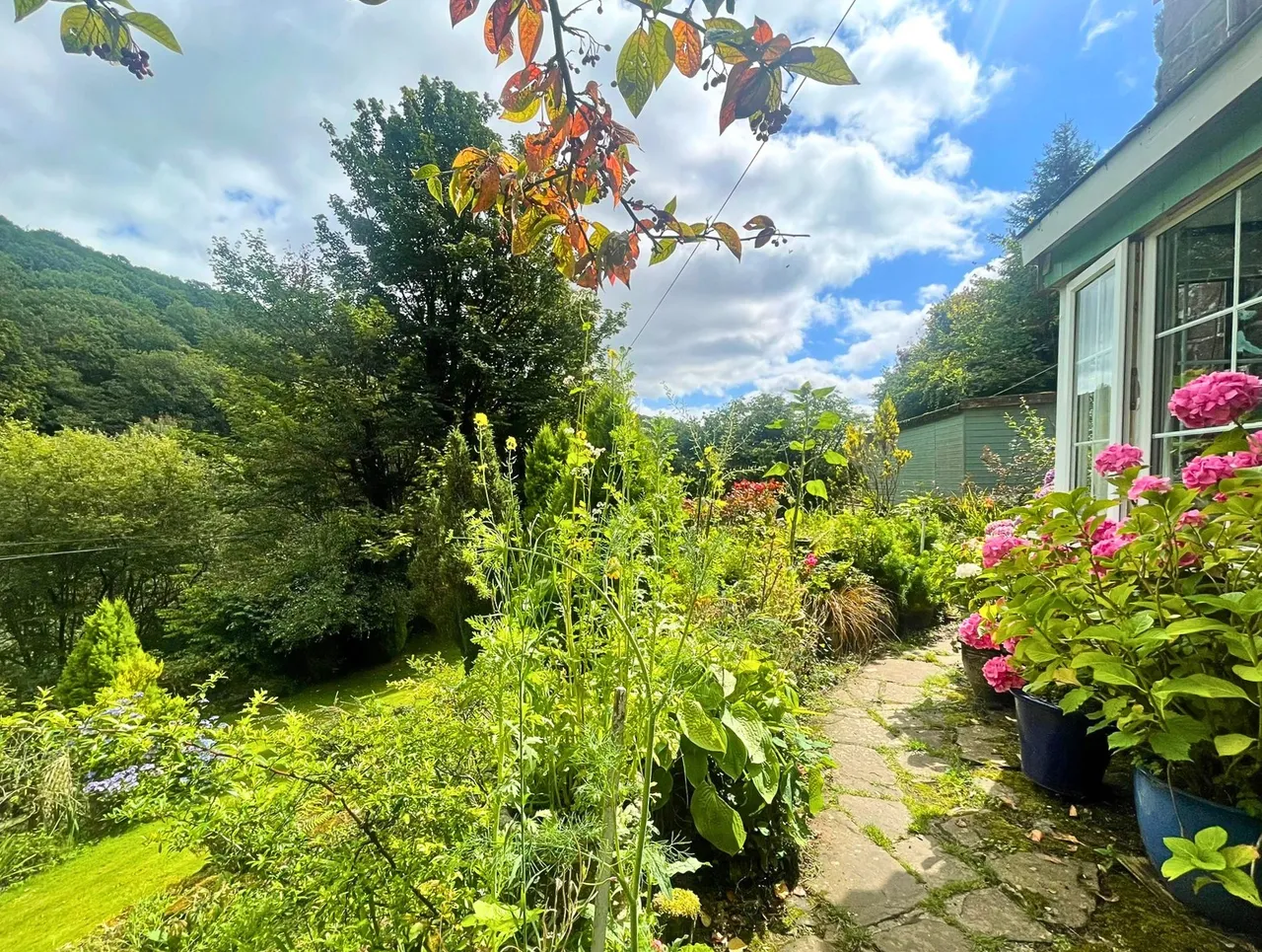 Whitebrook, NP25, photo 10
