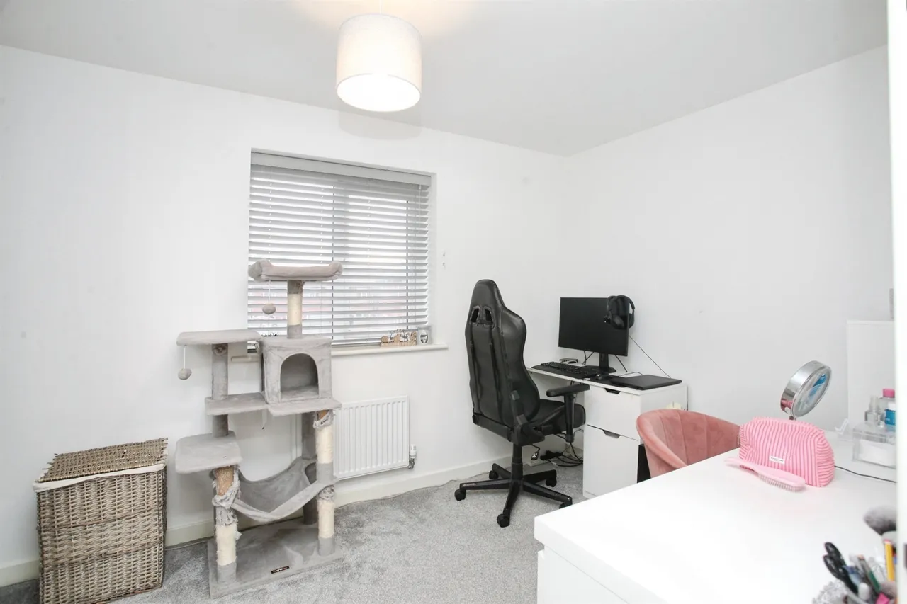 Caesar Drive, Nuneaton, CV11, photo 8