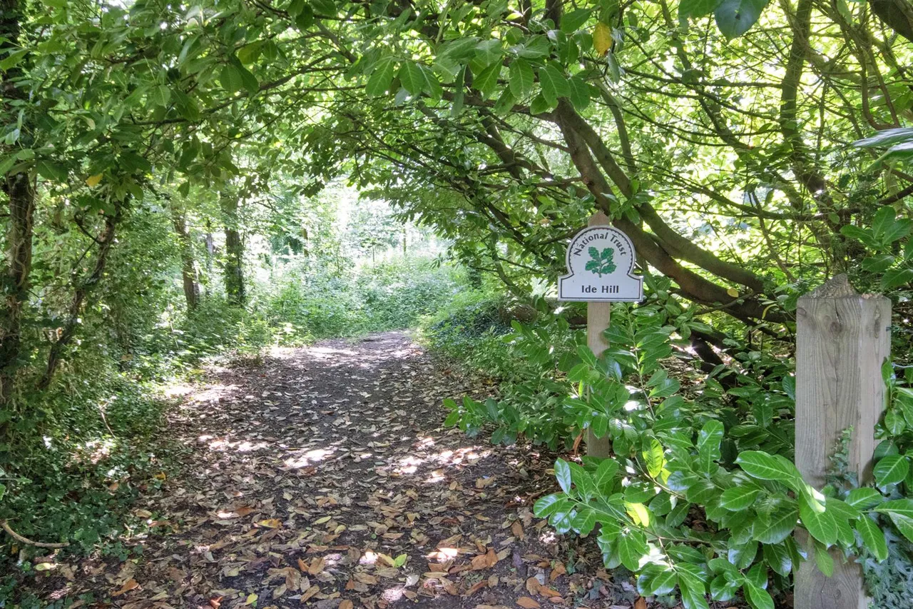 Ide Hill, Sevenoaks, photo 7