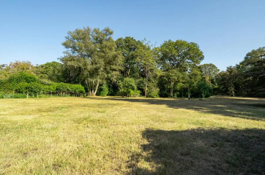 Fleet Hill, Finchampstead, RG40, photo 12