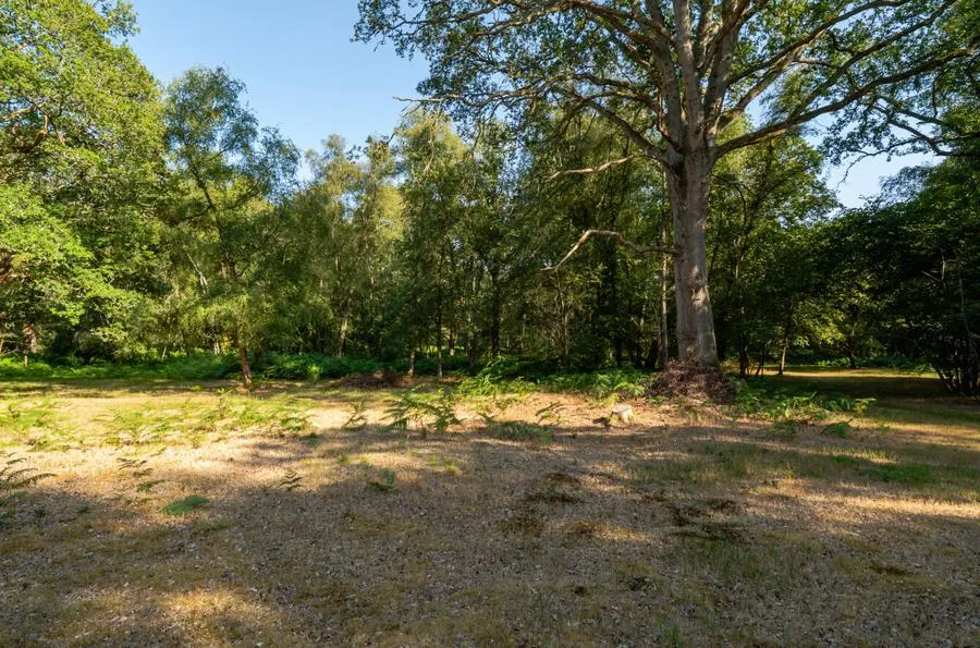 Fleet Hill, Finchampstead, RG40, photo 22