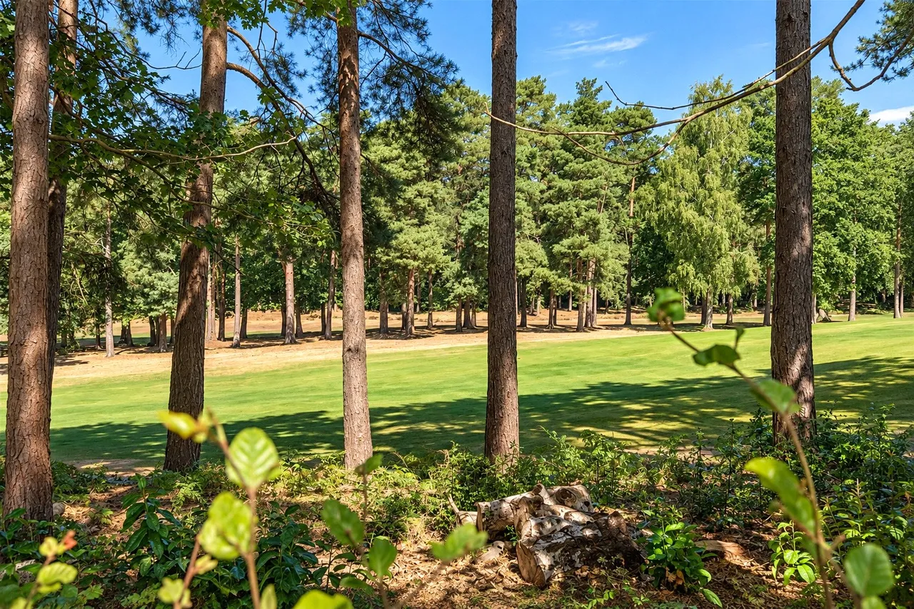 Hillsborough Park, Camberley, GU15, photo 2