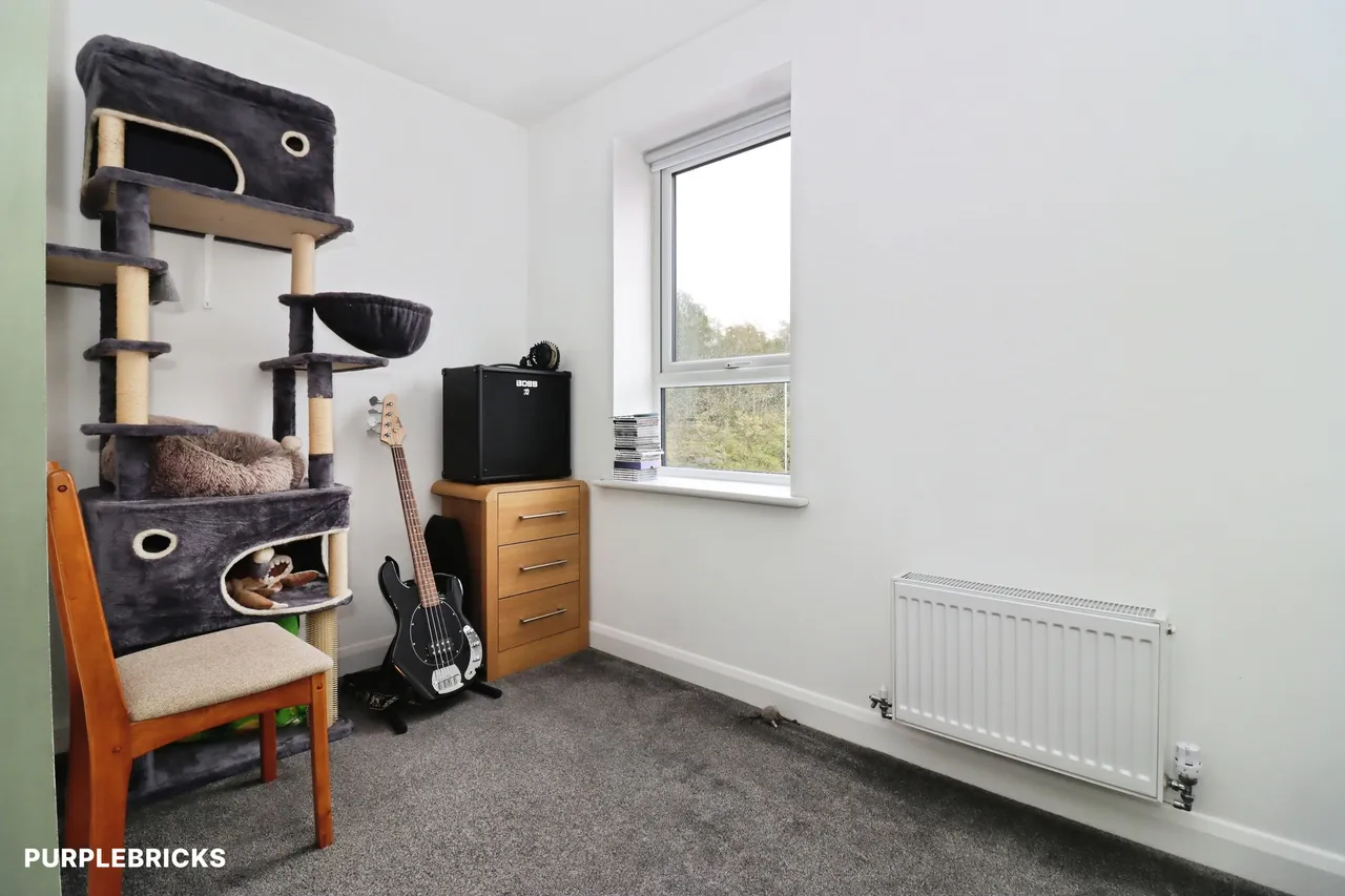 Pintail Meadow, Worksop, S80, photo 15
