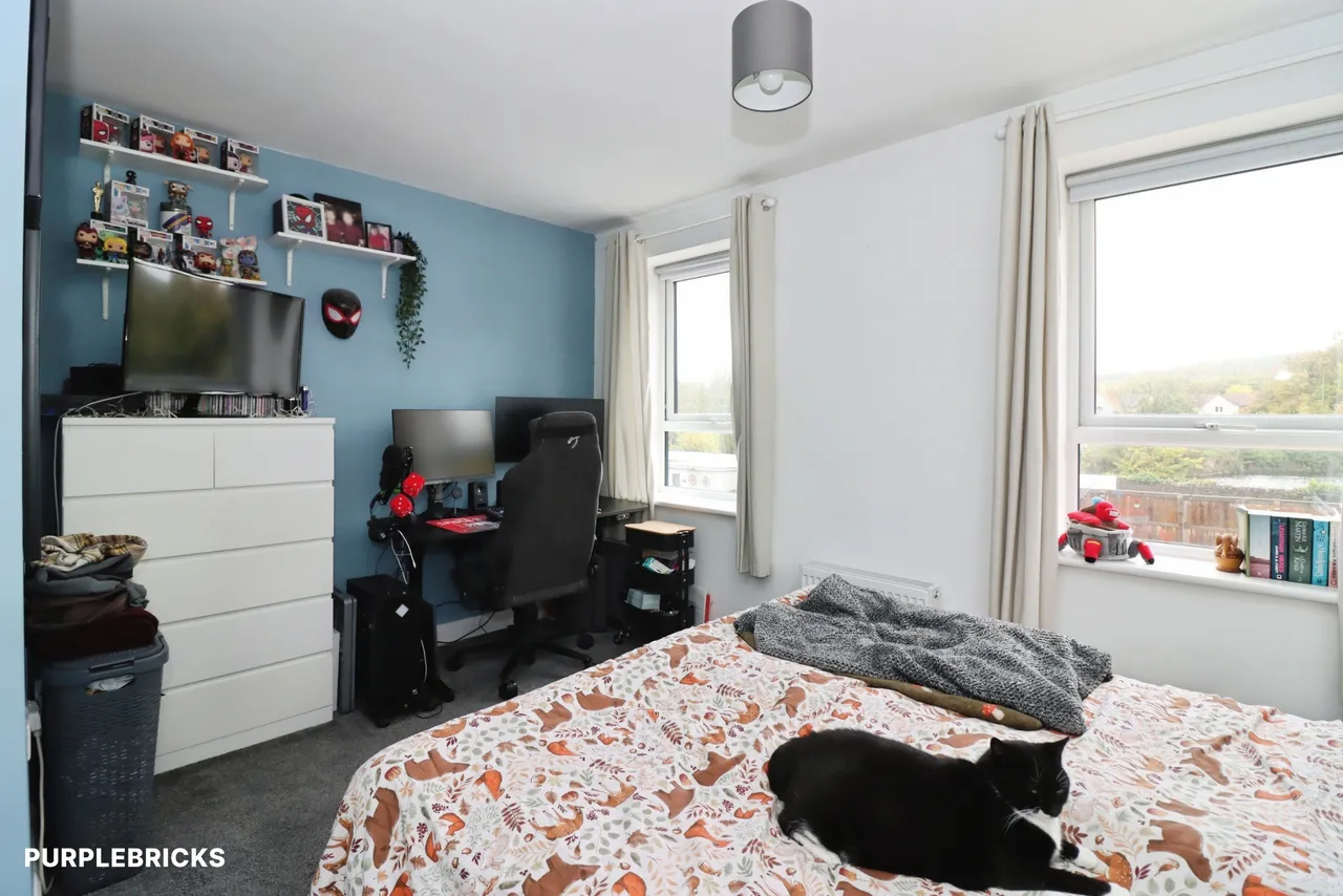 Pintail Meadow, Worksop, S80, photo 11