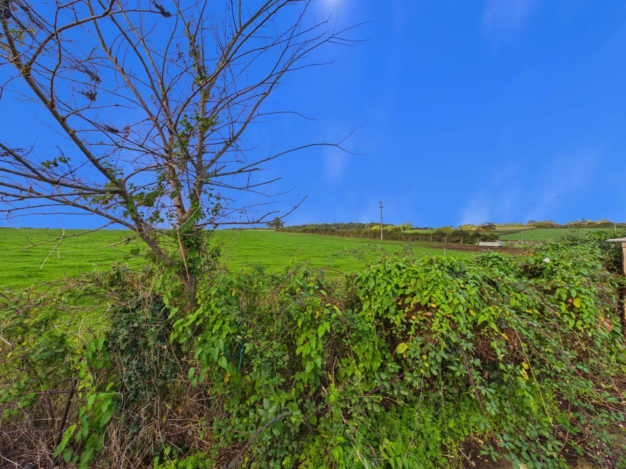 Slades Hill, Templecombe, BA8, photo 22