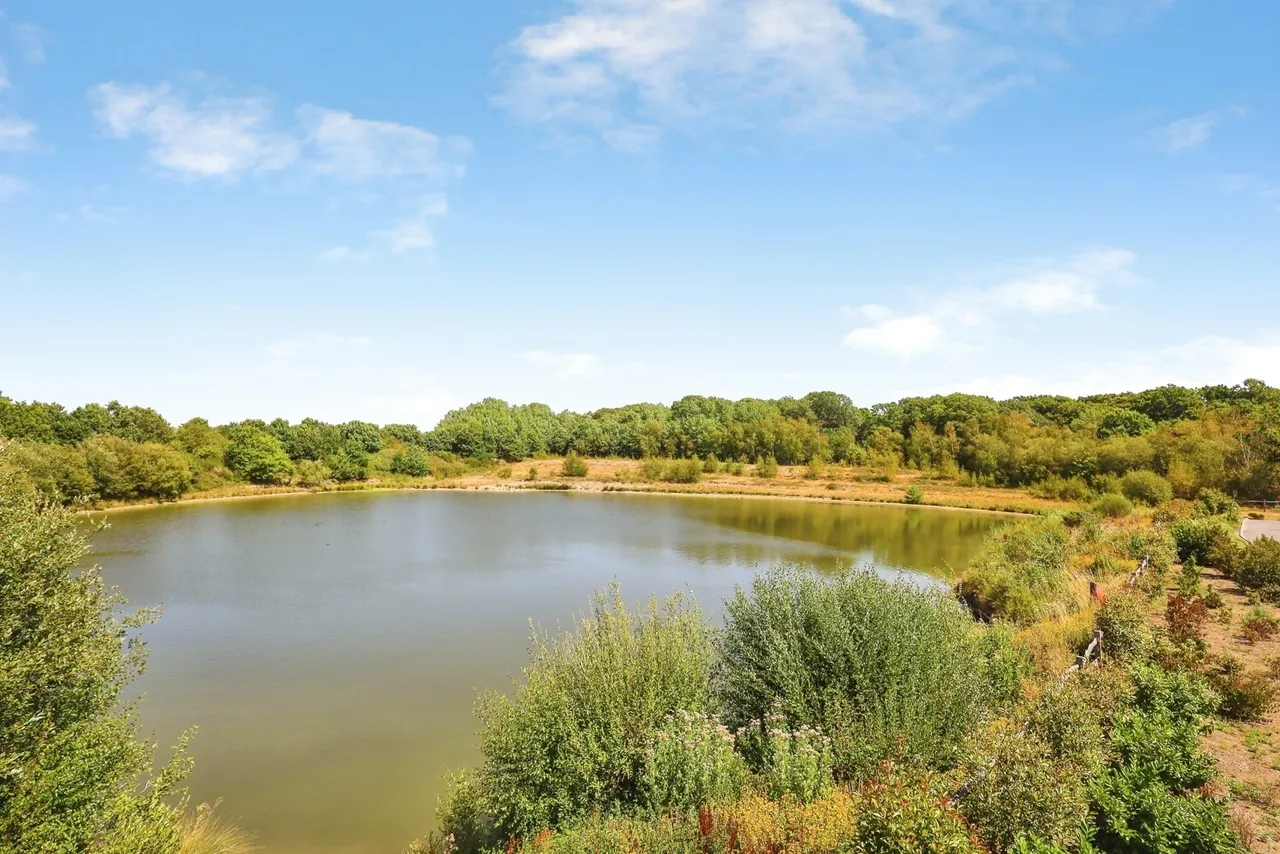 Lakeside, South Chailey, BN8, photo 24