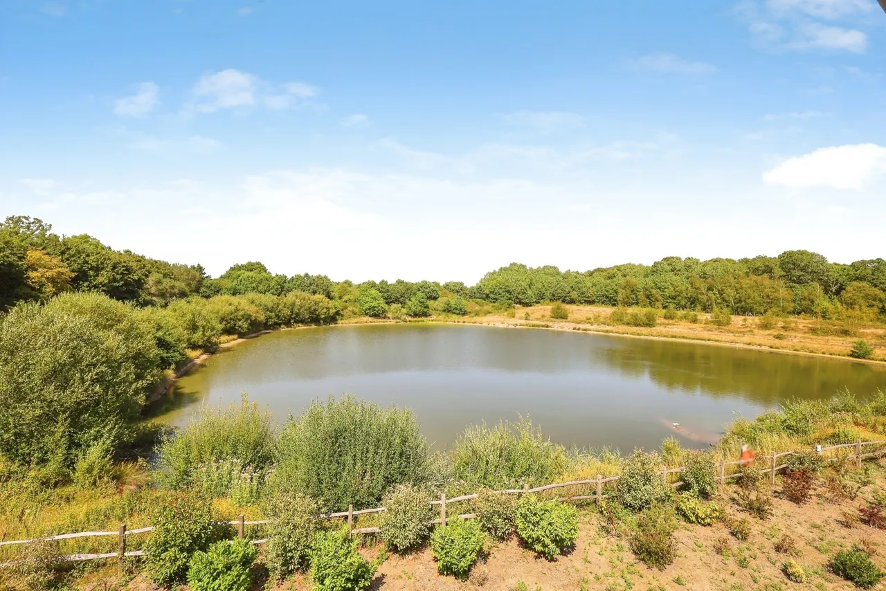 Lakeside, South Chailey, BN8, photo 25