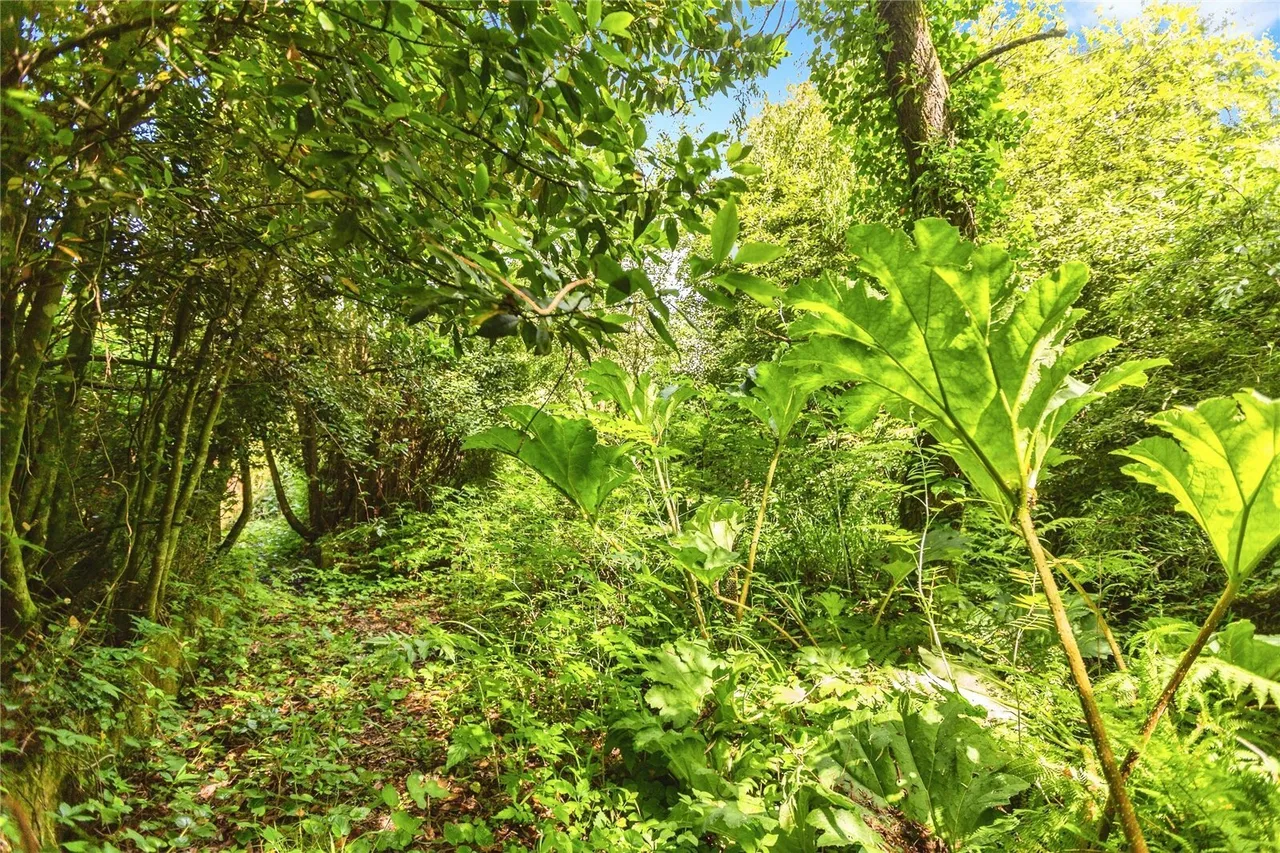 Llanmorlais, Swansea, SA4, photo 36