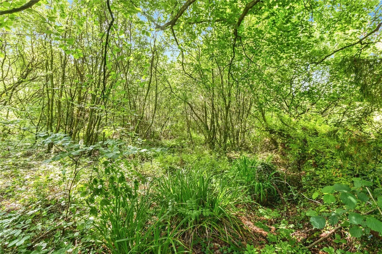 Llanmorlais, Swansea, SA4, photo 39