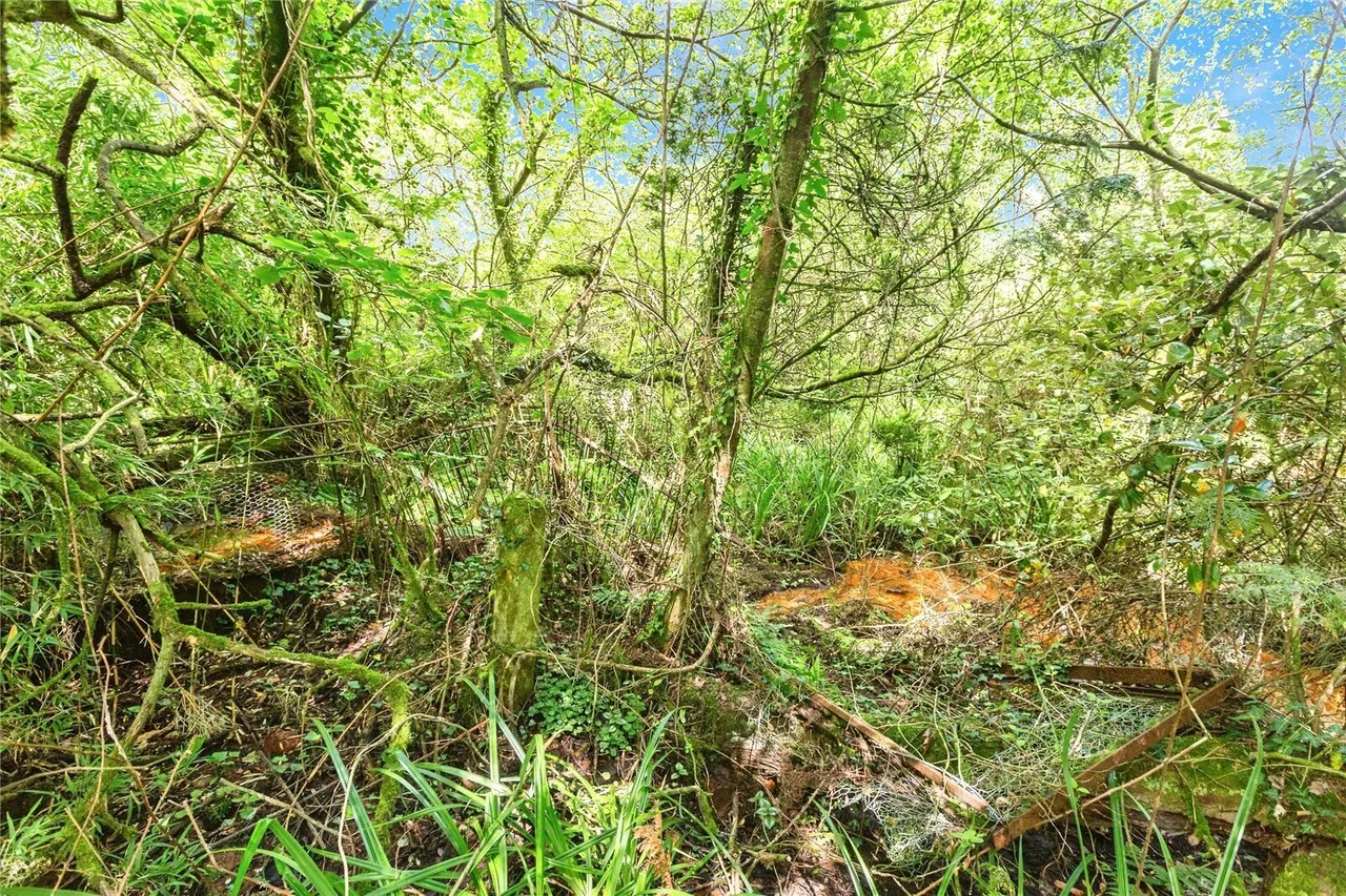 Llanmorlais, Swansea, SA4, photo 38