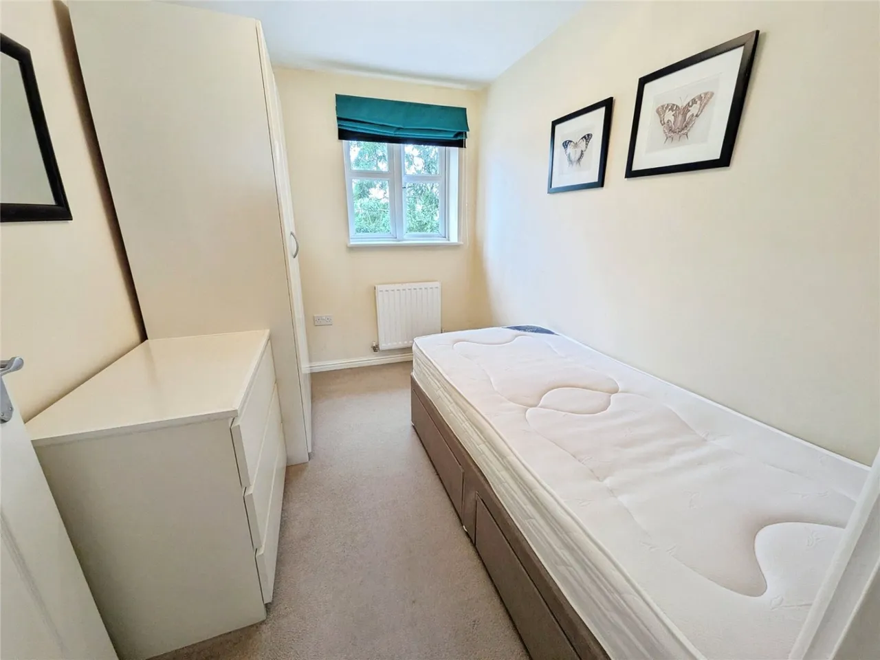 Tempest Street, Wolverhampton, WV2, photo 10