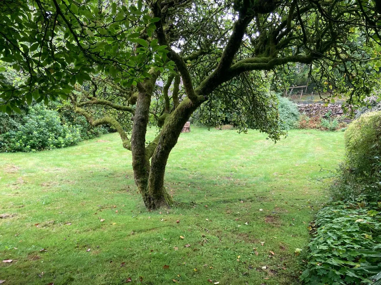 Grasmere, Ambleside, LA22, photo 37