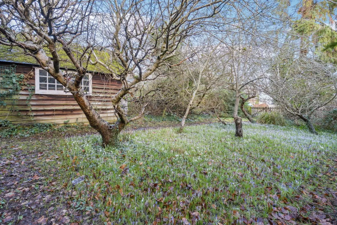 Dene Road, Northwood, HA6, photo 16