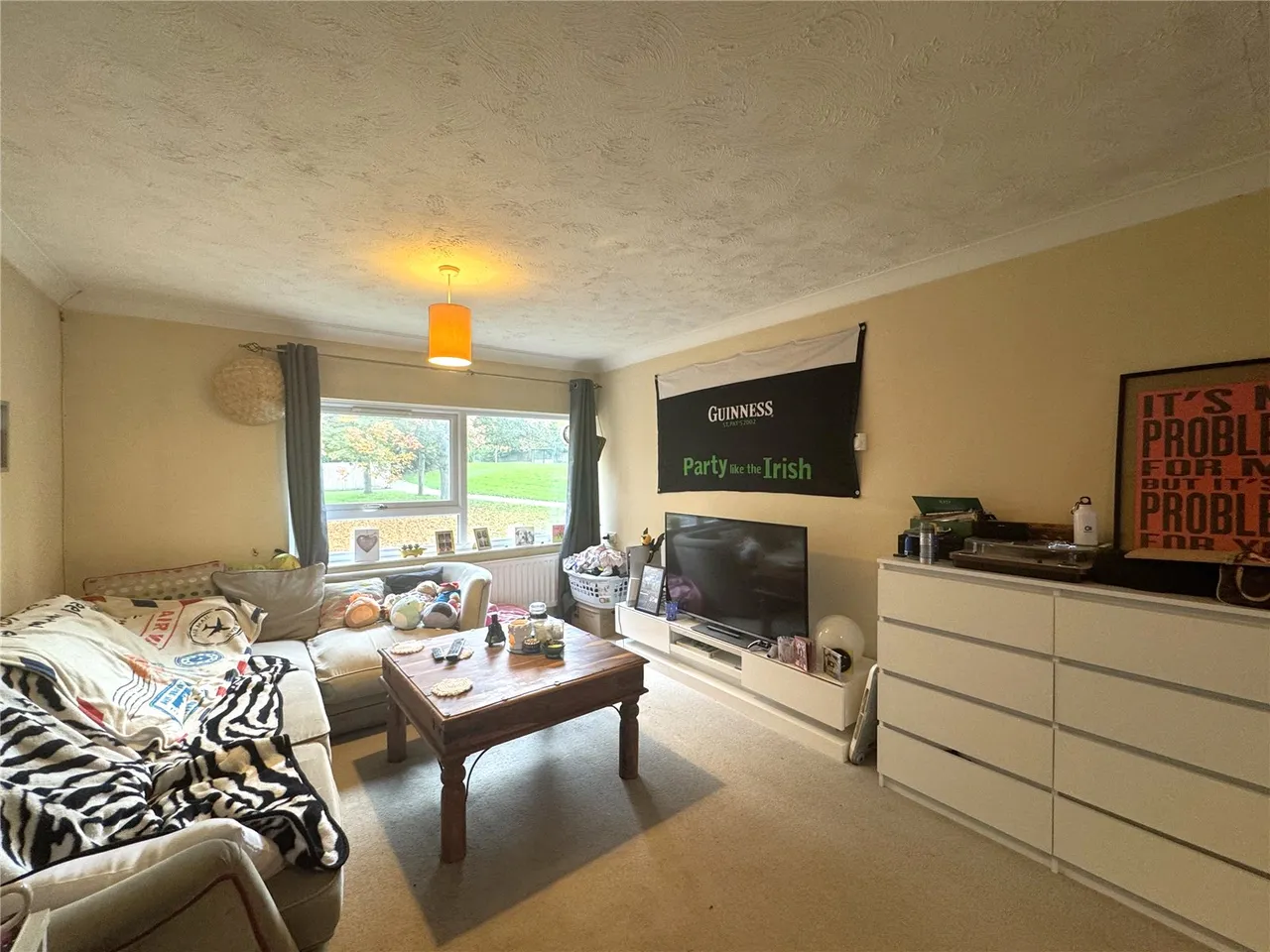 Bach Close, Basingstoke, Hampshire, RG22 4LD, photo 3