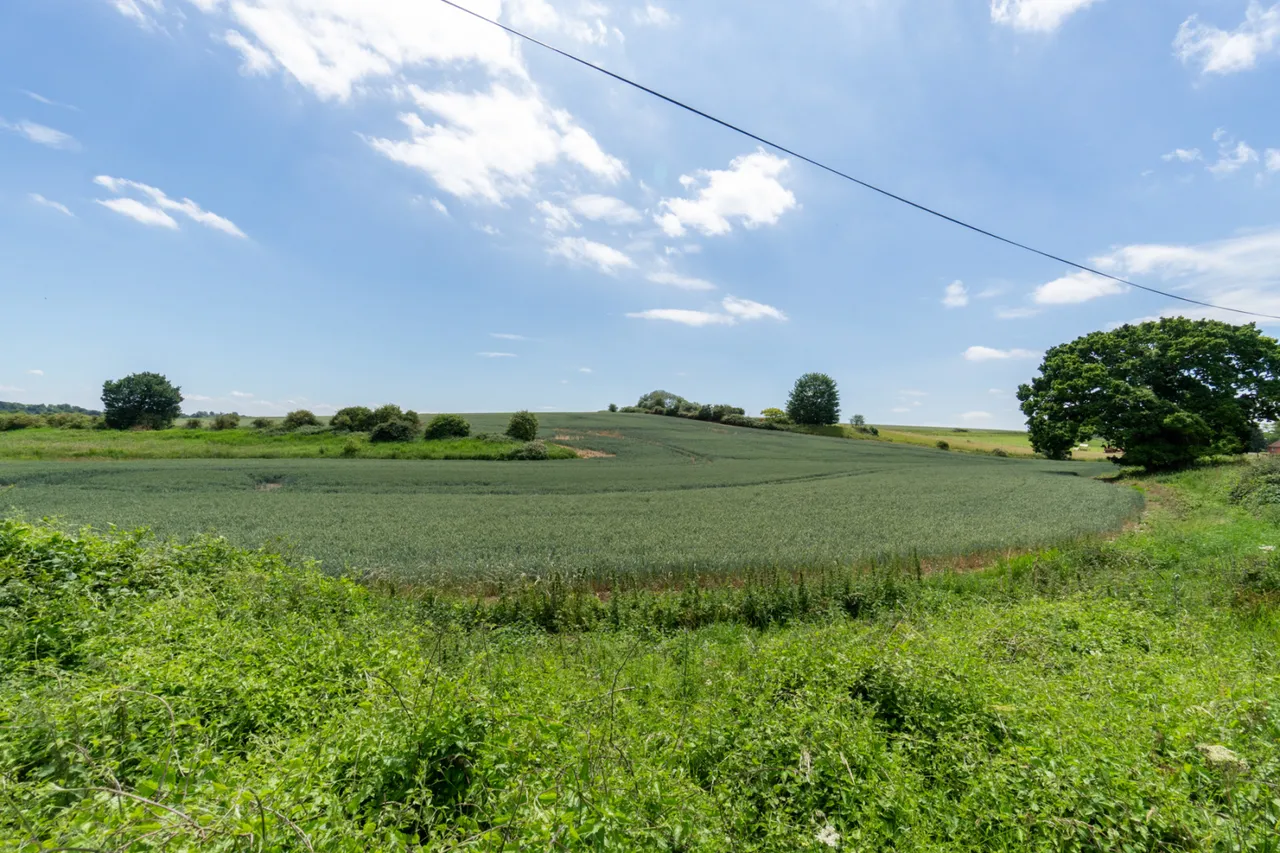 Stanbrook, Thaxted, CM6, photo 20