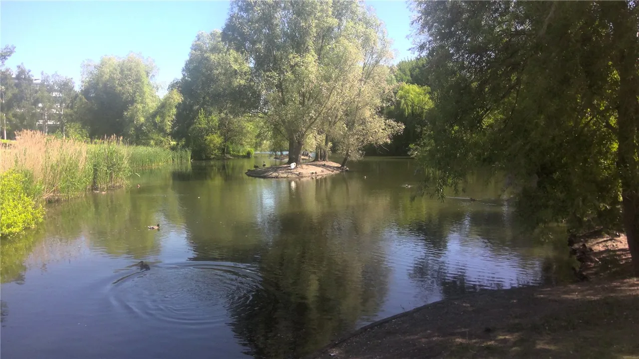 Flagstaff Road, Reading, RG2, photo 12