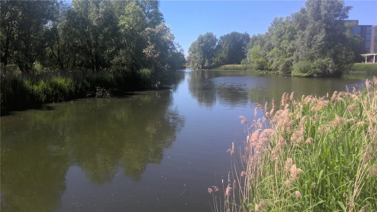 Flagstaff Road, Reading, RG2, photo 13