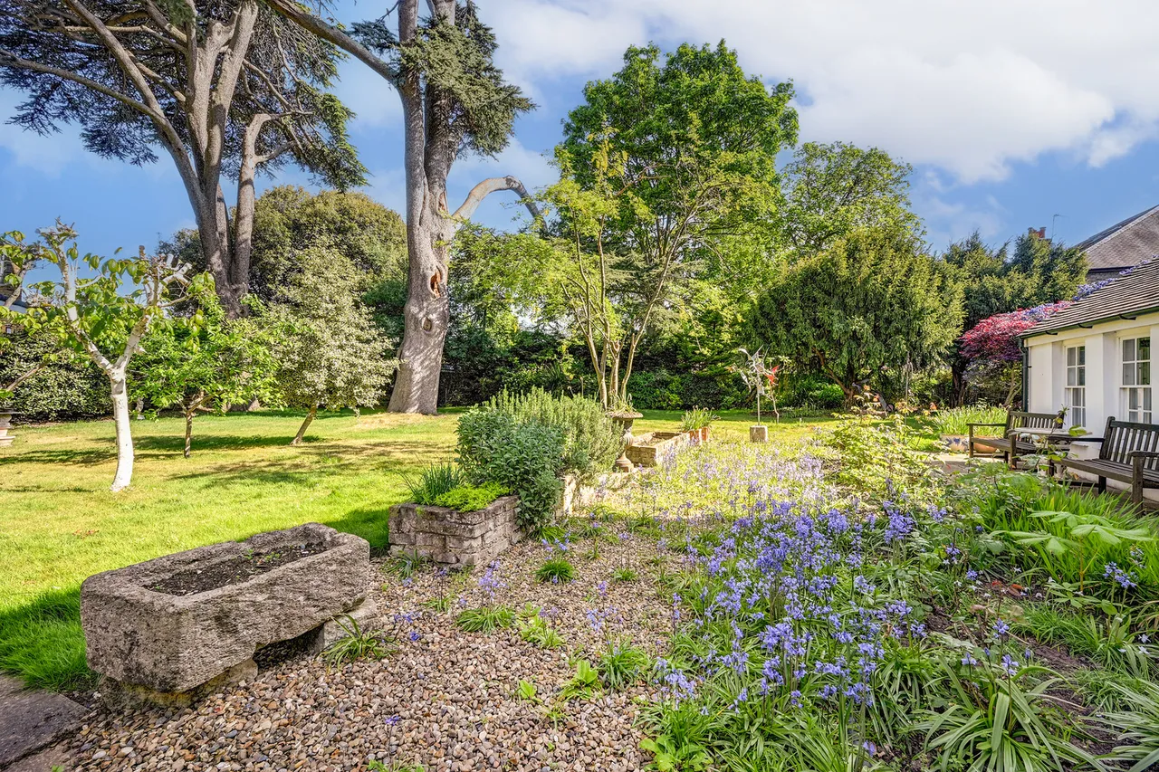 The Cedars, The Butts, TW8, photo 30