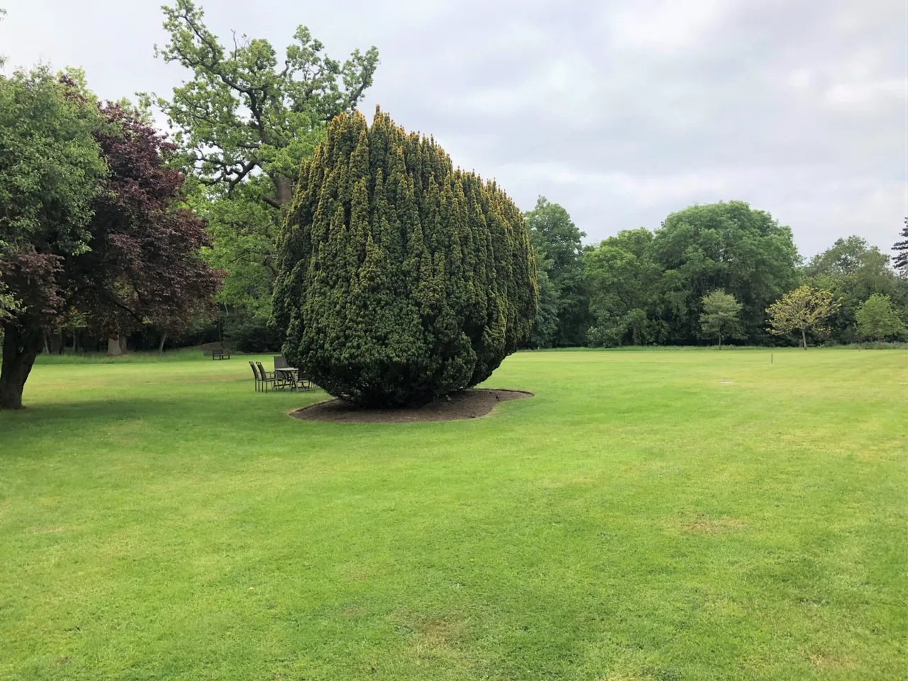 Iver, Buckinghamshire, photo 12