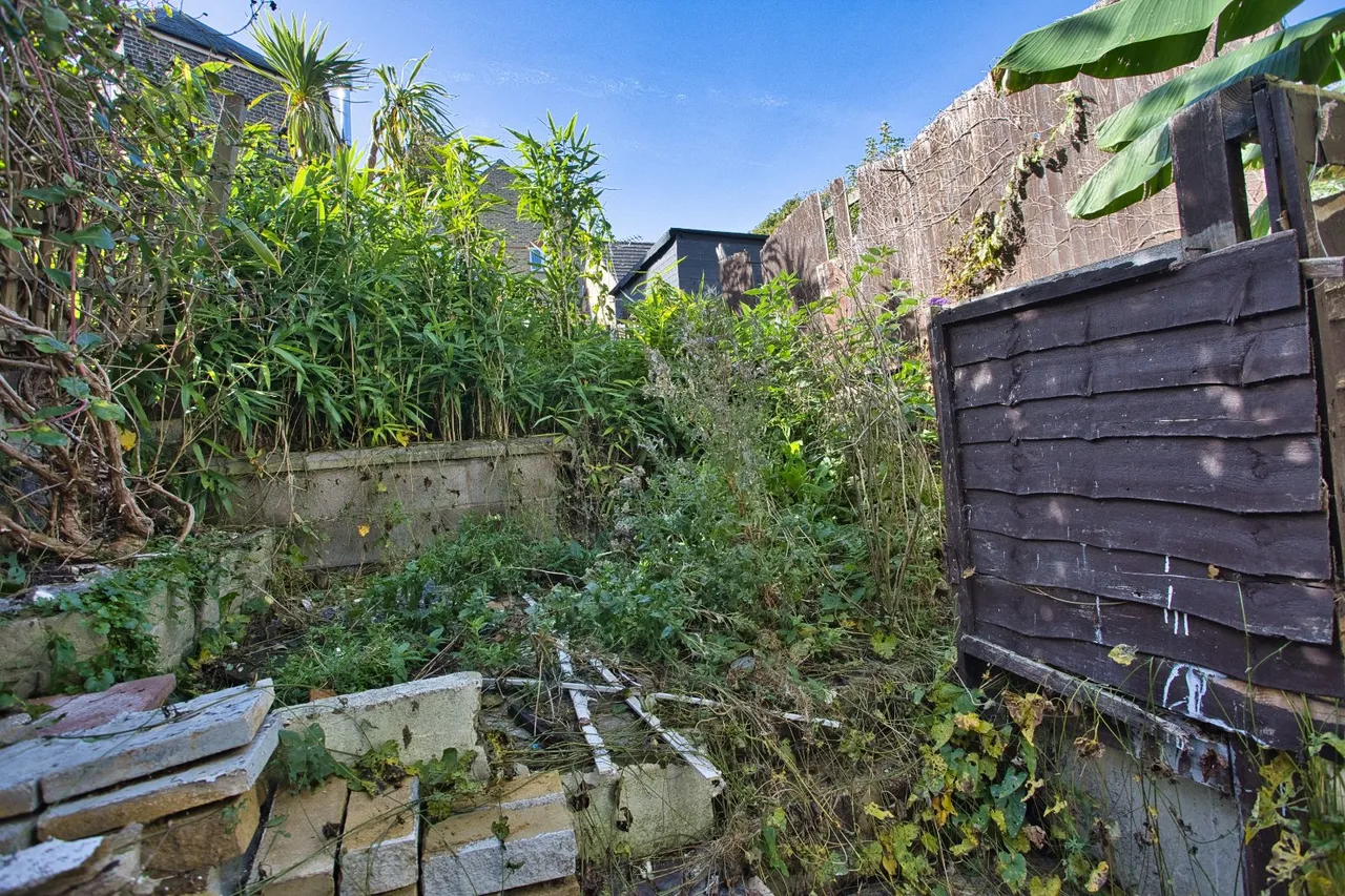 De Burgh Street, Dover, CT17, photo 12