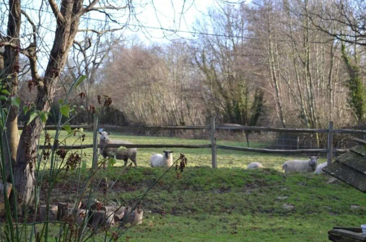 Brook Lodge Farm, Rose Hill, TN22, photo 6