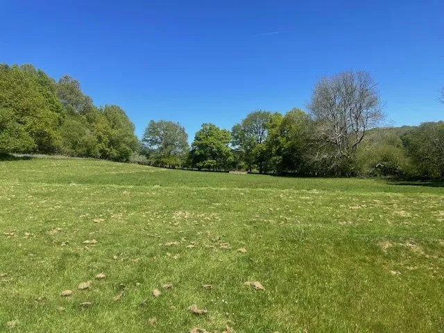 Wadhurst Road, Mark Cross, East Sussex, TN6 3PE, photo 28